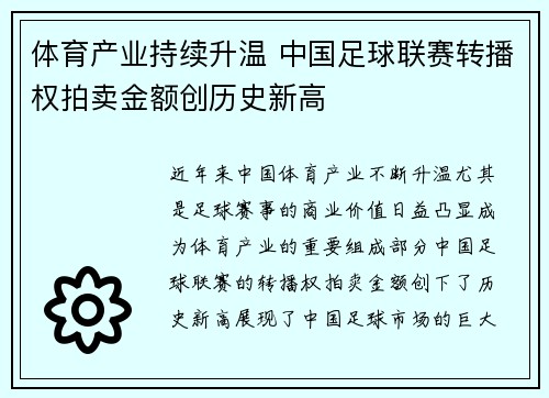 体育产业持续升温 中国足球联赛转播权拍卖金额创历史新高