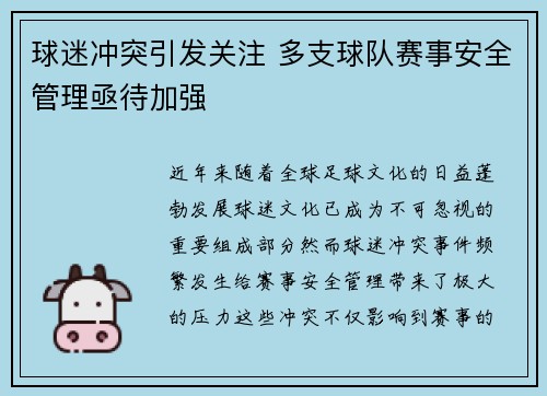 球迷冲突引发关注 多支球队赛事安全管理亟待加强